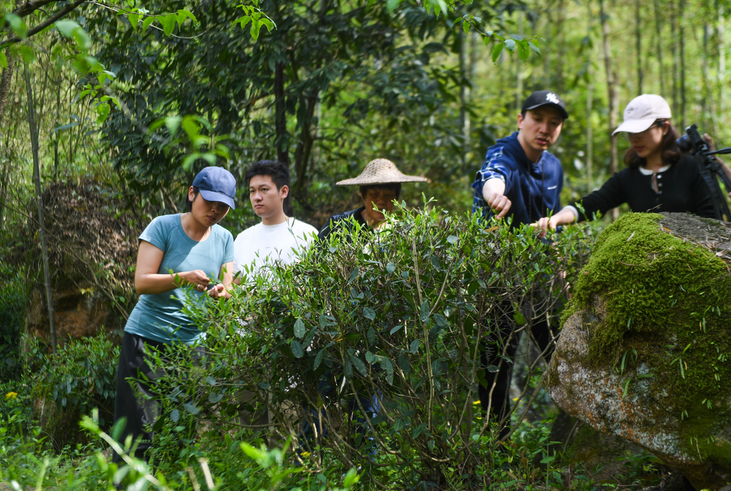 杭州旅游.png