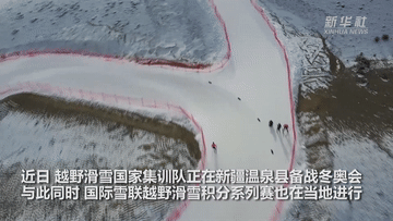 UID20211127192721659629.gif