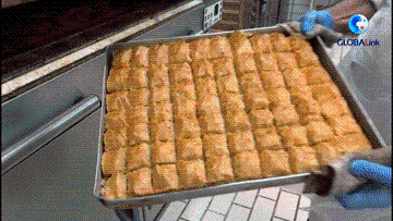 XxjinmC007008_20220126_CBMFN0A005.gif