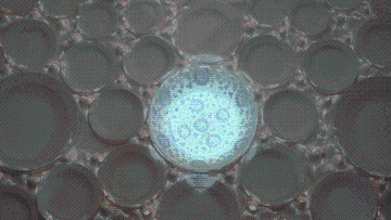 UID20220518020058458168.gif
