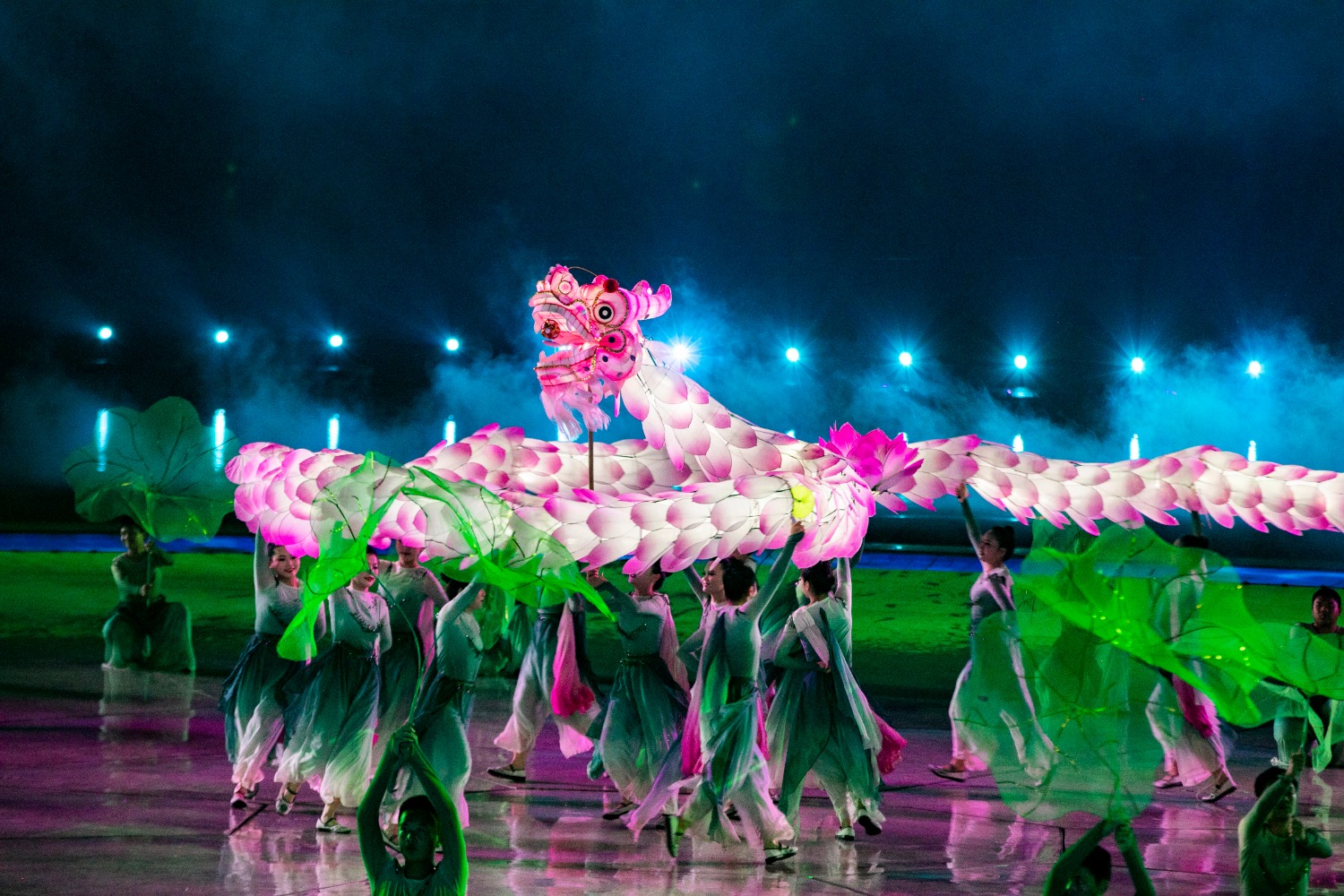 01荷花龙.jpg 01荷花龙.jpg