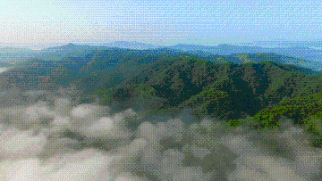 UID20220605121834094428.gif