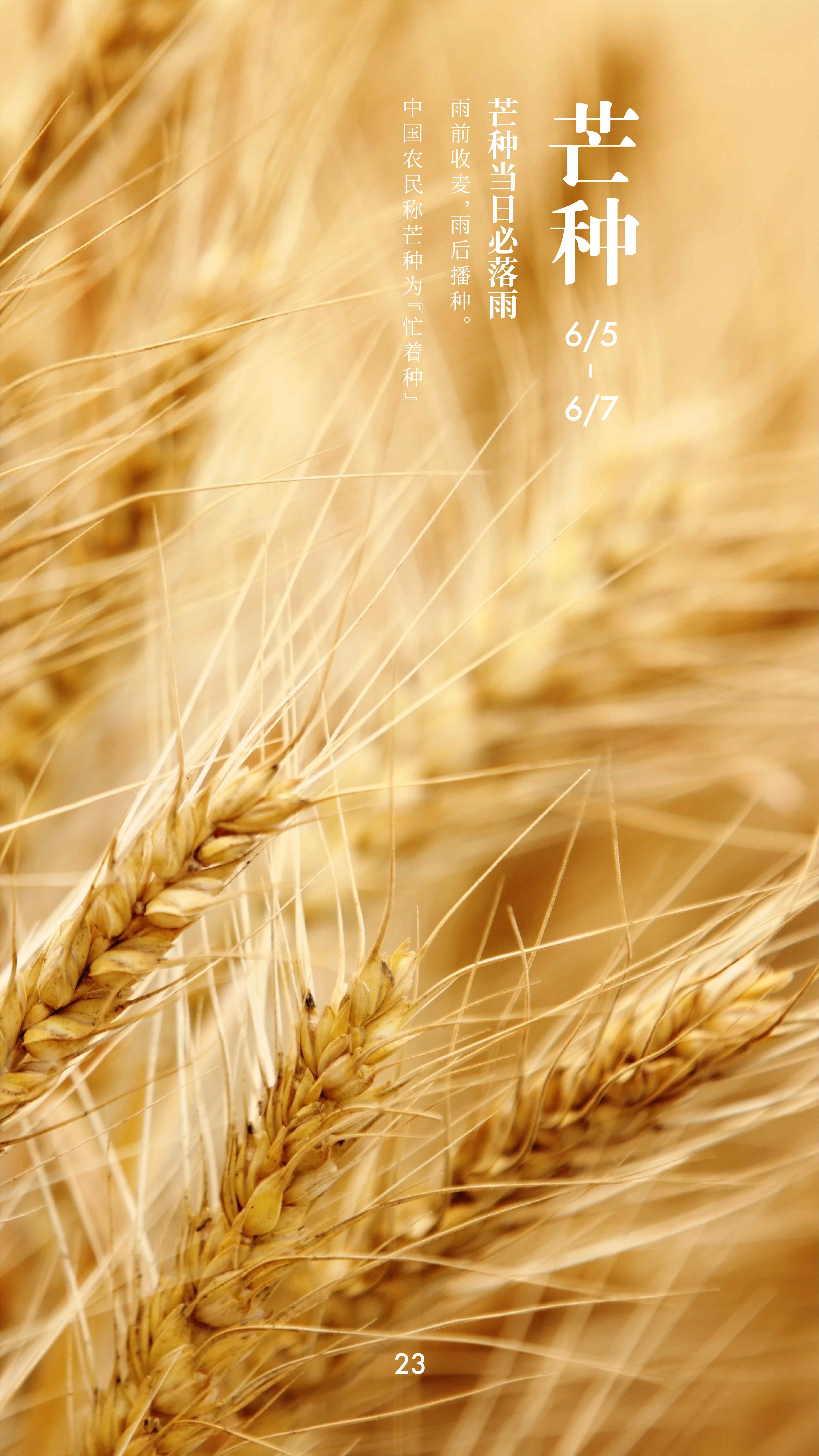 UID20220605092735957984.jpg