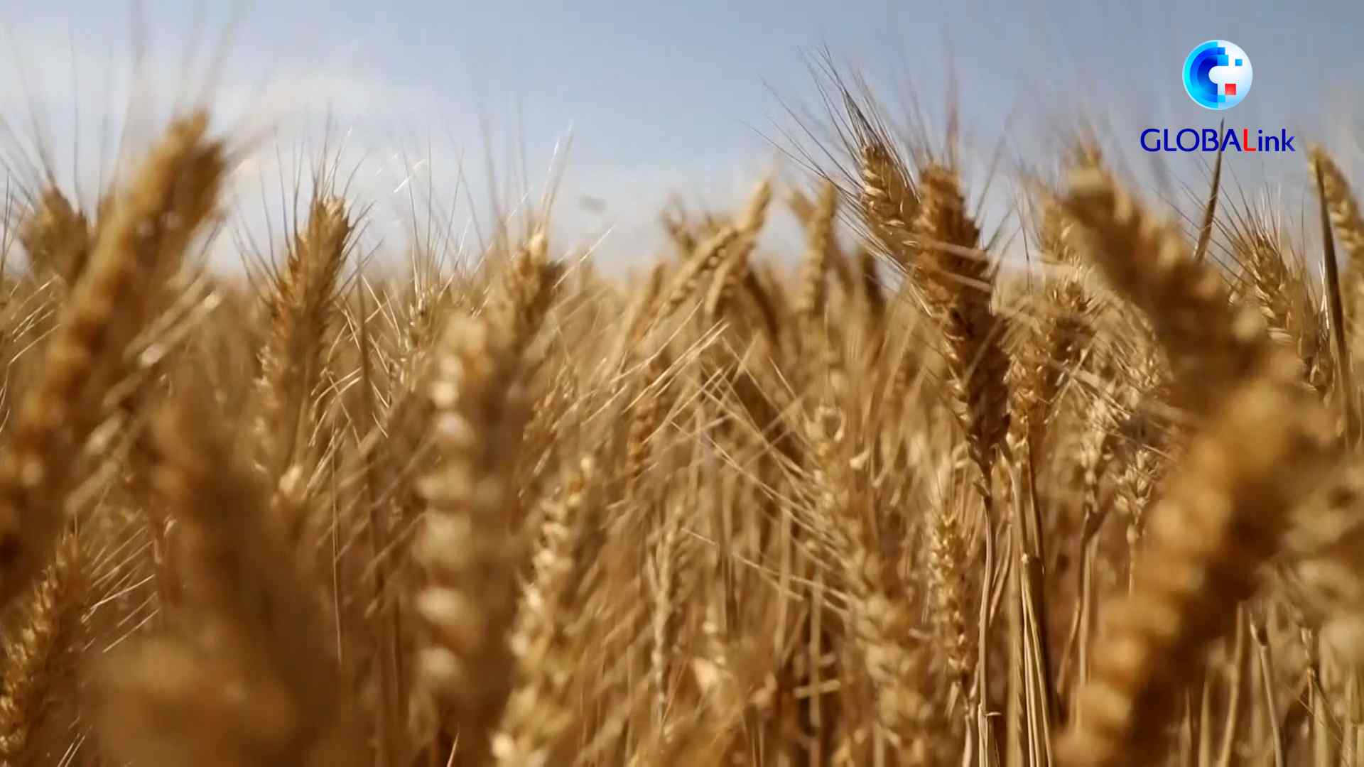 UID20220605092637764425.jpg