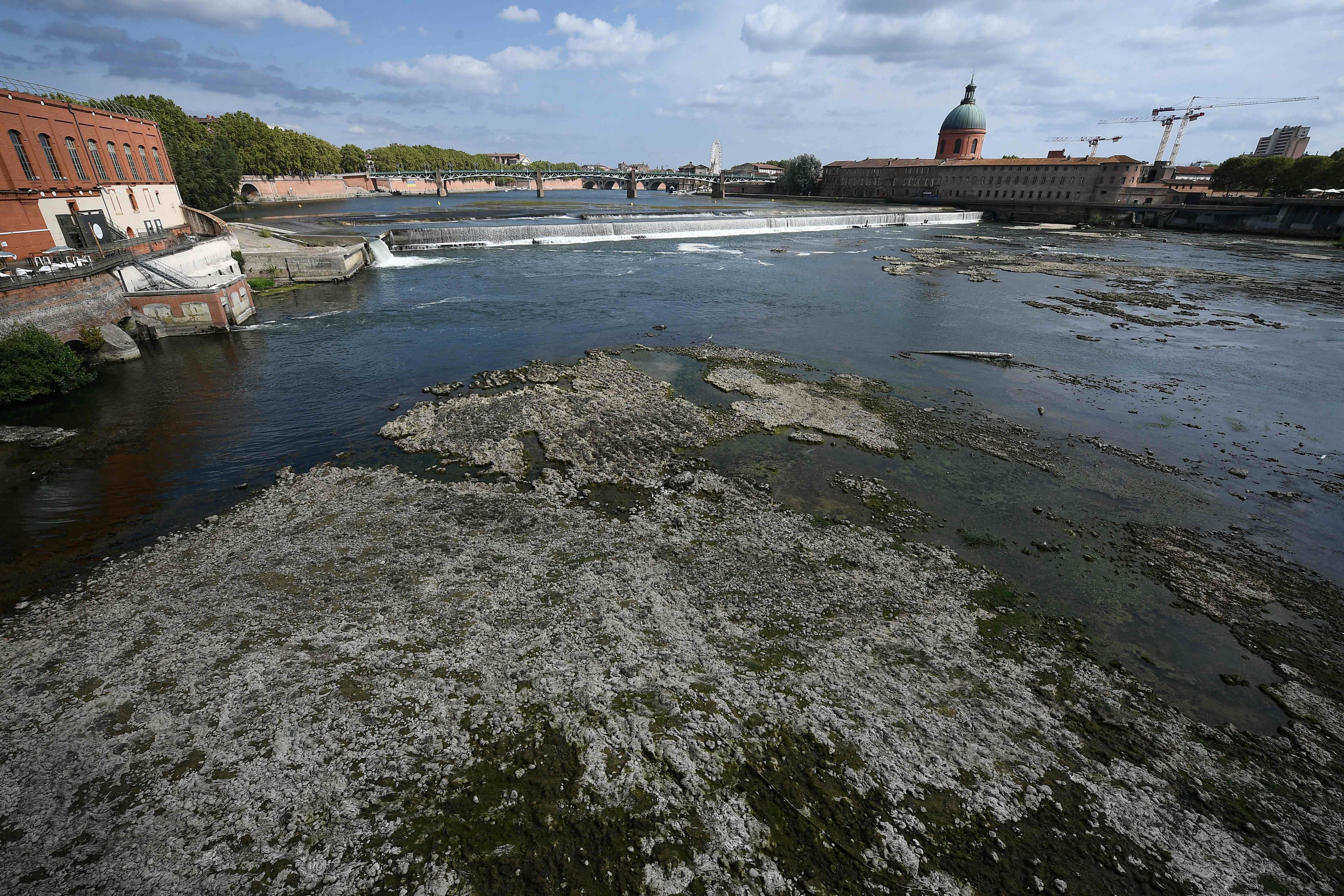 2703123379.png 2703123379.png