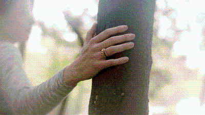 UID20220920094320068976.gif UID20220920094320068976.gif