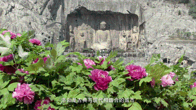 UID20220921082516819899.gif