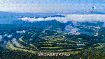 UID20221010214314065037.gif