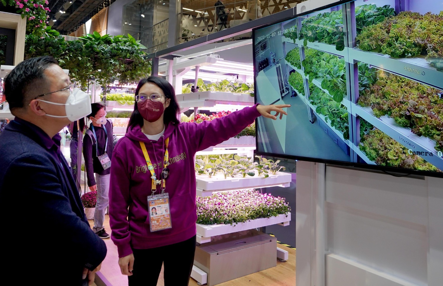 （第五届进博会）（4）进博会上看“集装箱里种菜”.jpg