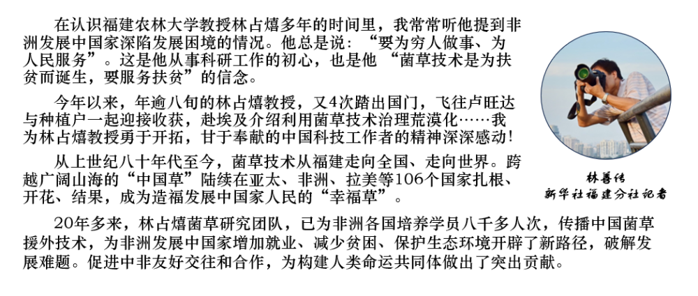337c91c7e9ec476d8fe7c80724d8525a.PNG