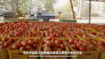 c7bdb2abd4b34b66b0c79e1e76472688.GIF