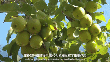 3b4a573834b243d99a6b0ff0aed13b59.GIF