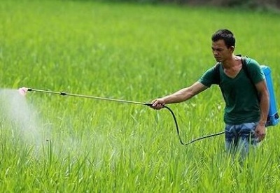 巴西卫生监督局：半数以上公众要求禁用草甘膦农药
