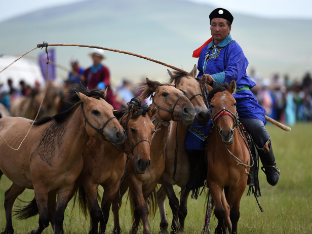 而如今,内蒙古草原上的马文化旅游产品不再那么单调.