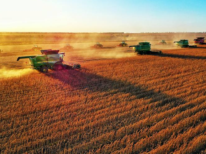 记者从北大荒农垦集团总公司(黑龙江省农垦总局)农业部门了解到,截至