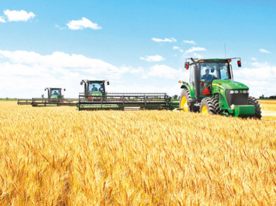 记者从吉林省农业农村厅了解到,2019年吉林省秋粮总产量达到775.