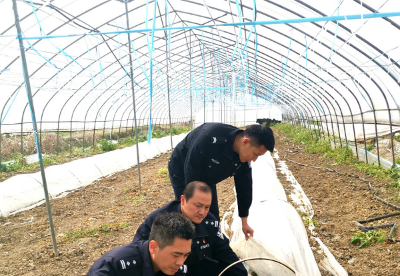 安徽和县：“警察蓝”助力贫困村复工复产“春天绿”