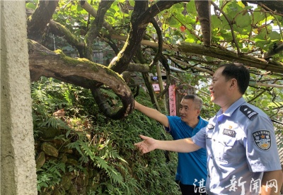 湛江打好产业扶贫“组合拳” 凝聚脱贫致富“众合力”