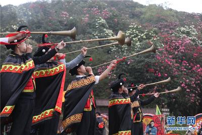 贵州：百里杜鹃花开迎春 景区客流回升