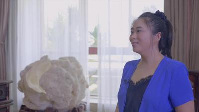 国健总裁伍苏国：乘着自贸港春风全力推动草饲奶粉与跨境电商发展