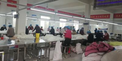 安徽泗县：筑牢安全防线 护航复工达产