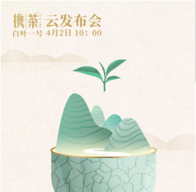 “携茶”品牌暨“白叶一号”首采发布会