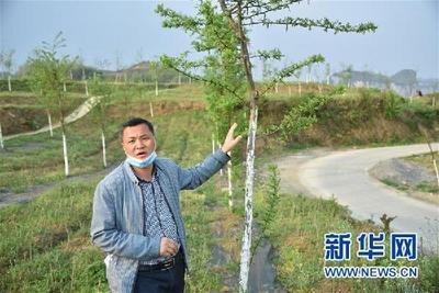 挂牌督战打赢歼灭战——贵州毕节脱贫攻坚一线见闻