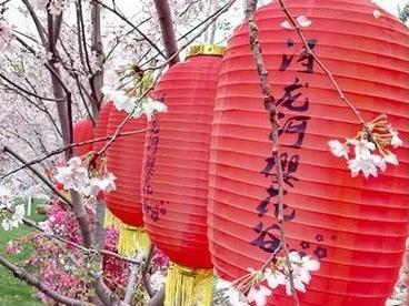 陈文胜：浔龙河村乡村振兴的多元投入机制创新实践