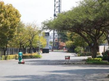 南非旅游部成立专项救济基金 助旅游企业渡过疫情难关