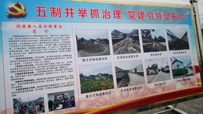 安徽明光：党建引领助振兴   人居环境美如画