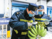 疫情对全球经济造成扰动 中国以实际行动扩大进口