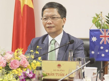 越南与澳大利亚讨论新冠肺炎疫情过后的贸易投资合作