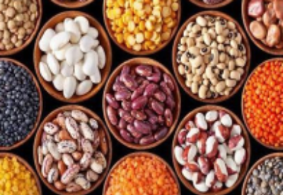 本财年至4月底缅甸对外出口豆类的总额超过6.91亿美元