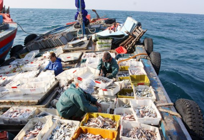 越南努力为渔业解除黄牌警告