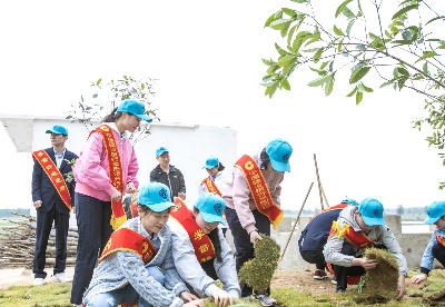 建行安徽省分行：“N+扶贫”助力乡村振兴  探索可持续发展扶贫路