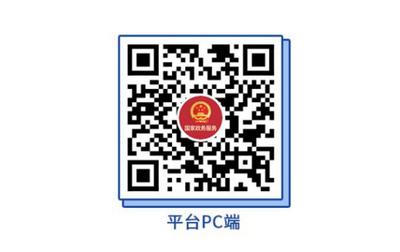 专家：全国一体化政务服务平台 推动更深层次“一网通办”