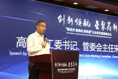 合肥高新区举办“新经济 新挑战 新机遇” 企业家发展高峰论坛