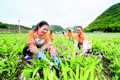 把生态优势转化成健康医药产业发展优势