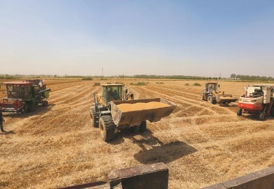 安徽濉溪：家庭农场机械化麦收忙