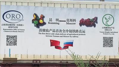 滇俄农产品全冷链直运集装箱首次从霍尔果斯铁路口岸出境