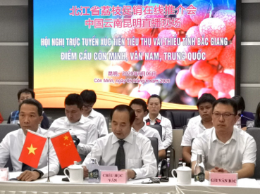 中越荔枝跨境在线促销推荐会举行
