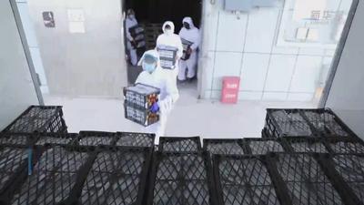 新疆果蔬走出国门 远销中亚和欧洲
