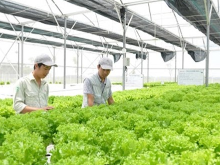 越南农业应利用第四次工业革命的科技成果