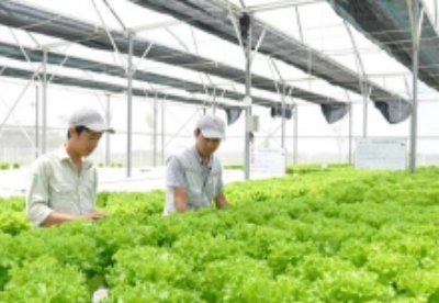 越南农业应利用第四次工业革命的科技成果