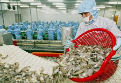 2020年上半年越南虾类出口额同比增长5.7%