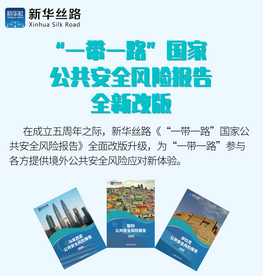 一图看懂 | “一带一路”国家公共安全风险报告全新改版