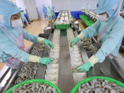 前7个月越南农林水产品出口额约达223亿美元