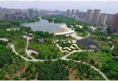 安徽泗县：“绿色画笔”绘就生态宜居家园