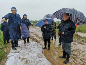 乘风破浪 严阵以待 安徽肥西经开区防汛抗洪在行动
