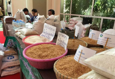 柬埔寨大米出口有望冲击百万吨大关